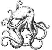 Quality Omnichannel Campaign Delivery